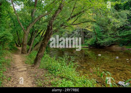 A serene setting with a hiking trail in the forest alongside the tranquil creek with the changing of seasons into autumn Stock Photo