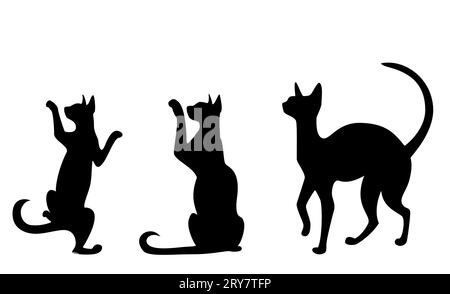 Silhouettes of cats on a white background Stock Photo