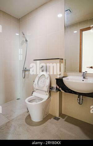 The bathroom in the contemporary apartment features a toilet and a sleek wash basin. Stock Photo