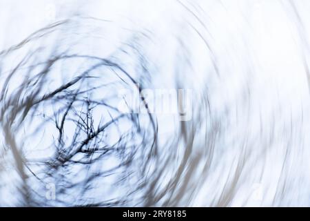 Black and light blurred texture with shimmering particles. White and gray charcoal bokeh texture for background. Stock Photo