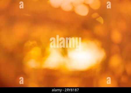 Orange fall natural trees bokeh. Colorful autumn yellow, orange, red leaves bokeh background. Stock Photo