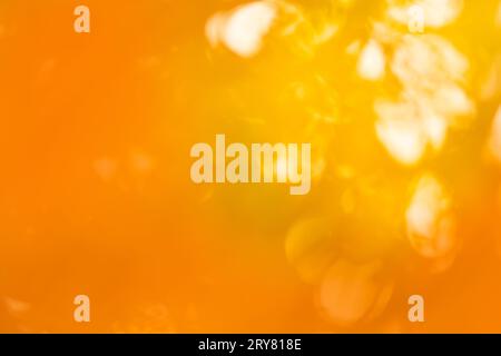 Bright yellow and red trees fall bokeh background. Autumn forest bokeh multicolored texture. Stock Photo