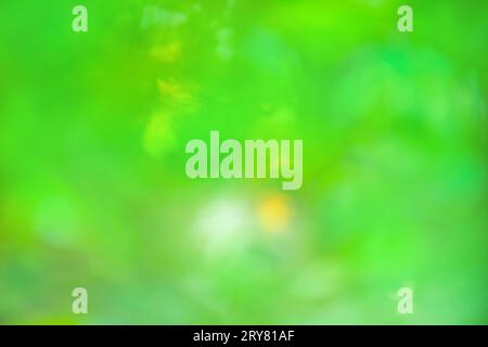 Chlorine greenery  blurred background. Pistachio color blur bokeh. Stock Photo