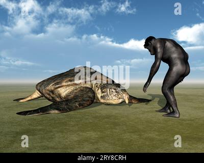 Homo Habilis - Human Evolution Stock Photo