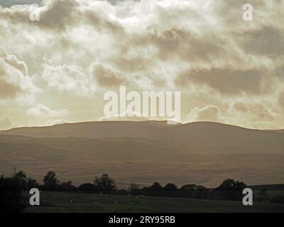 Lake District hills in atmospheric moody light with grazing sheep in distant foreground & High Street beneath backlit clouds - Cumbria, England, UK Stock Photo