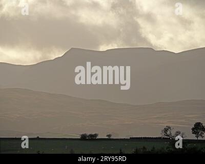 Lake District hills in atmospheric moody light with grazing sheep in distant foreground & Kidsty Pike beneath backlit clouds - Cumbria, England, UK Stock Photo