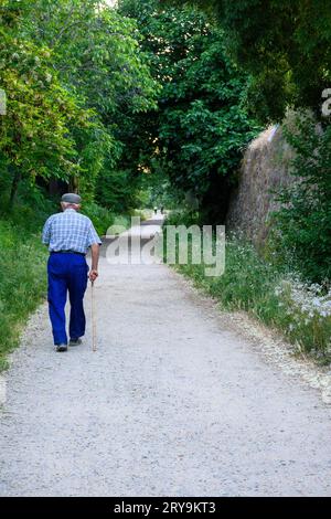 older person man walking with cane to perform daily walking exercise on dirt road with vegetation Stock Photo