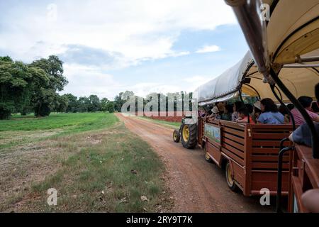 Chok Chai Farm, Khao Yai, Thailand - Jun 2; 2019: Tractor at Chokchai Farm, Pak Chong for bringing visitors around the farmland, Khao Yai, Thailand - Stock Photo