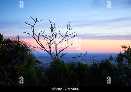 Bunya Mountains Lookout with Leafless tree branches silhouetted in front of tableland.  Sunset, twilight sky. Focus on foreground, background blurred Stock Photo
