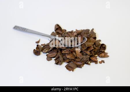 Chocolate or cocoa shell with a spoon. Stock Photo