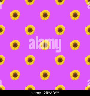 Seamless Pattern of Vibrant Yellow Sunflowers on Lilac Purple Background Stock Photo
