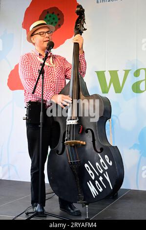 Vienna, Austria. September 28, 2023. Austrian folk musicians Stock Photo