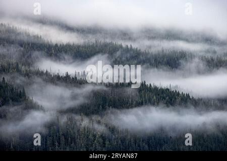 Dramatic foggy landscape in Tracy Arm Fjord near Juneau, Alaska, USA Stock Photo