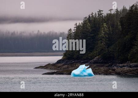 Iceberg from Sawyer Glacier in Tracy Arm Fjord near Juneau, Alaska, USA Stock Photo