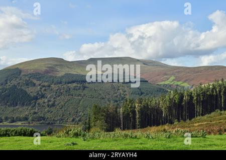 Looking across to Waun Rydd from Bwlch y Waun in the Central Brecon Beacons with Talybont Reservoir and part of the forestry all shown in September Stock Photo