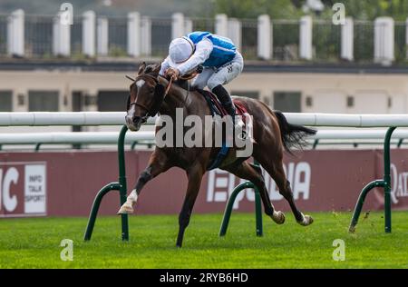 30th September 2023, Paris, France. Double Major and jockey Maxime Guyon win the Qatar Prix Chaudenay for trainer C. Ferland and owners Wertheimer & Frere Credit: JTW Equine Images/Alamy Live News Stock Photo