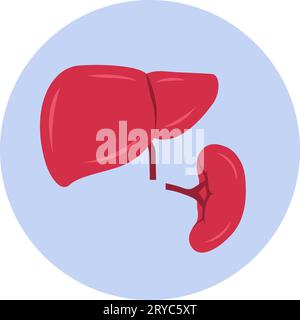 Enlarged liver and spleen, isolated icon Stock Vector