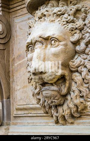 Head of roaring lion Stock Photo