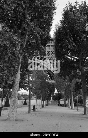 Eiffel Tower seen through the trees in the Champs de Mars, Paris, France Stock Photo