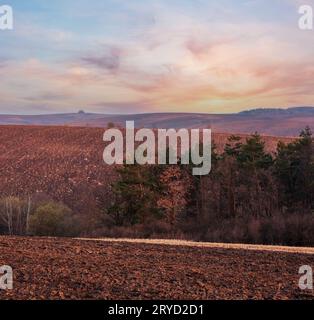Spring early morning rural country landscape with plowed agricultural fields on hills and groves. Arable and growth farmlands in tender delicate daybr Stock Photo