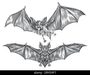 Bat black line. Flying bats. Cartoon bats. Line art. Drawing by hand.  Doodle. Tattoo Stock Vector Image & Art - Alamy