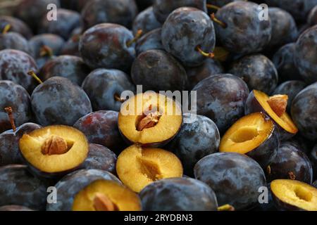 Fresh ripe blue plums close up at farmers market Stock Photo