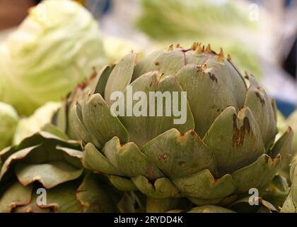 Green fresh globe artichokes on market stall Stock Photo