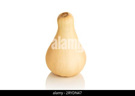 Fresh butternut squash isolated on a white background Stock Photo