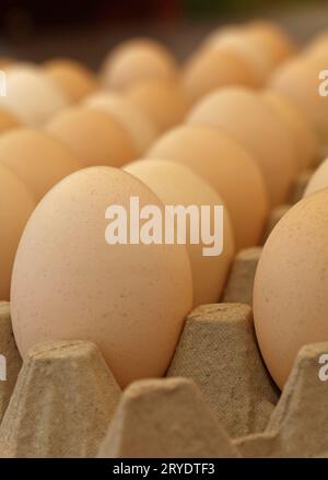 Close up brown chicken eggs in tray carton Stock Photo