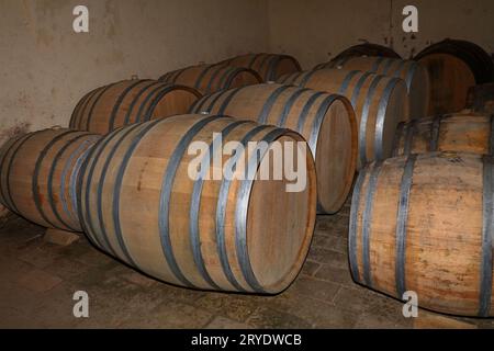 Rows of oak wood wine barrels in winery cellar Stock Photo
