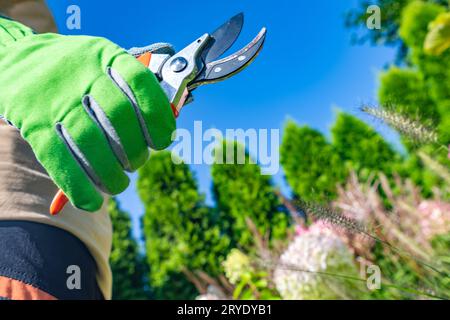 Secateurs Tool in Gardeners Hand Close Up. Gardening Tools and Equipment Theme. Stock Photo