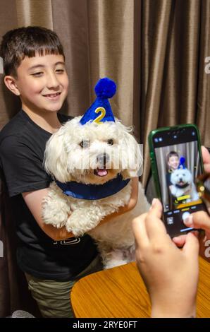 Celebrating a small, white, pet cavapoo dog's 2nd birthday, posing for a photograph taken on a mobile phone, held by a 10 year old boy Stock Photo