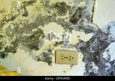 Stripped Paint Wall Stock Photo