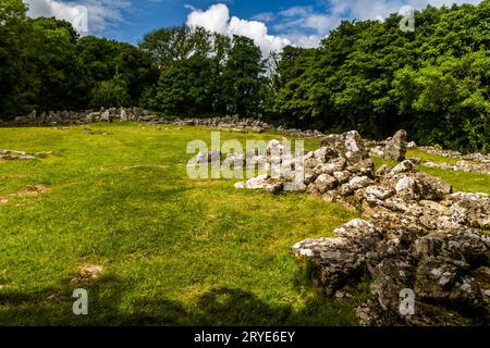 Remains of Din Lligwy, or Din Llugwy ancient village, Near Moelfre, Anglesey, North Wales, UK, landscape. Grass copyspace to left. Stock Photo