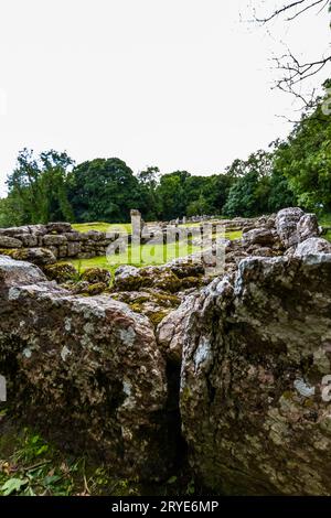 Stones at Remains of Din Lligwy, or Din Llugwy ancient village, Near Moelfre, Anglesey, North Wales, UK, portrait. Wide Angle. Stock Photo