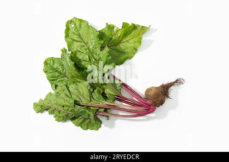 Red beet root with leaves isolated on white background Stock Photo