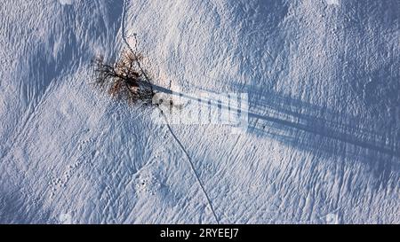 Aerial drone shot of single tree in winter in snow Stock Photo