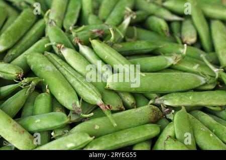 Close up green peas pods on retail display Stock Photo