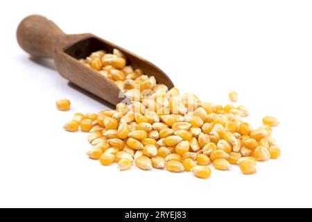 Corn seeds for popcorn isolated on white background Stock Photo