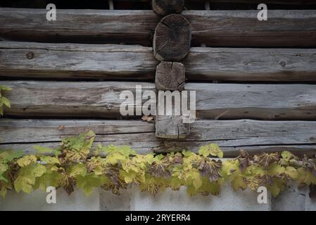 a wood connection or timber joint on a log house wood connection or ...