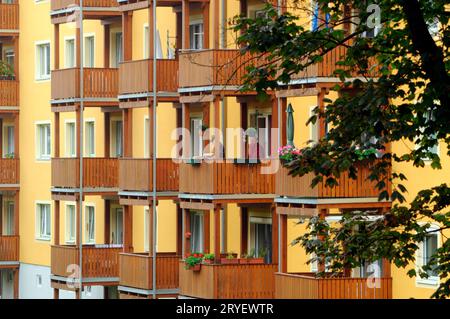 Urban greening through tree growth Stock Photo