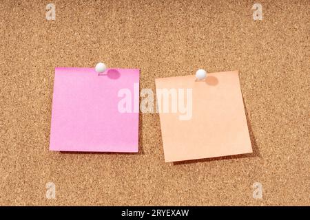 Two Blank note on a cork board for adding text and push pin. Mock up Stock Photo