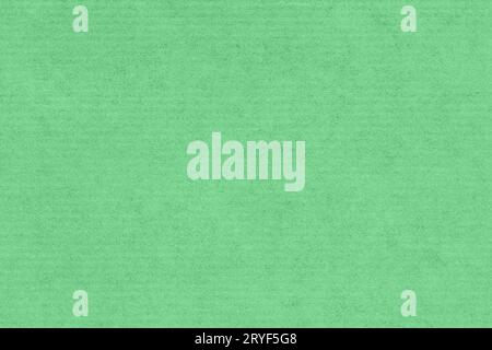 Kraft paper texture background. Green color Stock Photo