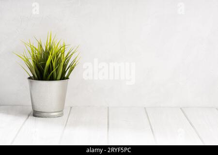 Empty white wooden table with green plant pot and white concrete wall texture background. Copy space, display montage for produc Stock Photo