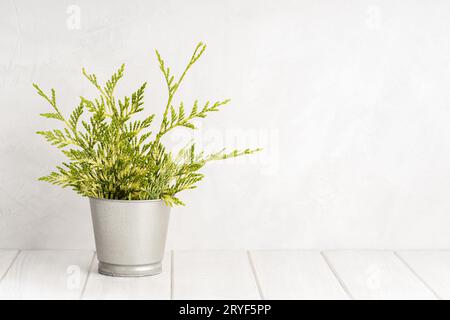 Empty white wooden table with green plant pot and white concrete wall texture background. Copy space, display montage for produc Stock Photo