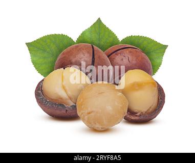 Macadamia grains and nuts Stock Photo