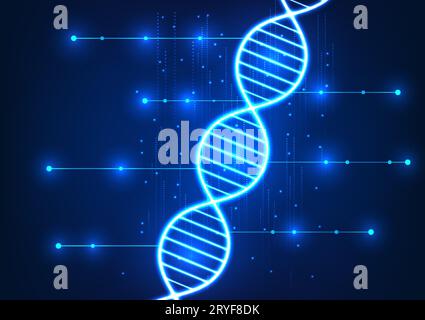 Medical technology Circuit lines connected to DNA It represents the use of technology in medicine that shows DNA information. to bring information to Stock Vector