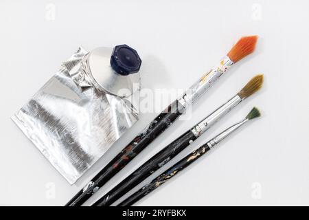 Paintbrushes and squeeze oil paint tube on white canvas background Stock Photo