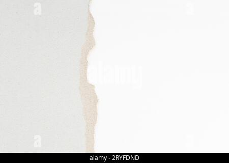 Abstract background with ripped Recycled cardboard and white textured paper. Paper texture template Stock Photo