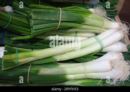 Fresh spring onions or scallions Stock Photo